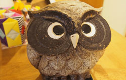 滋賀県竜王町グループホーム 希望の家